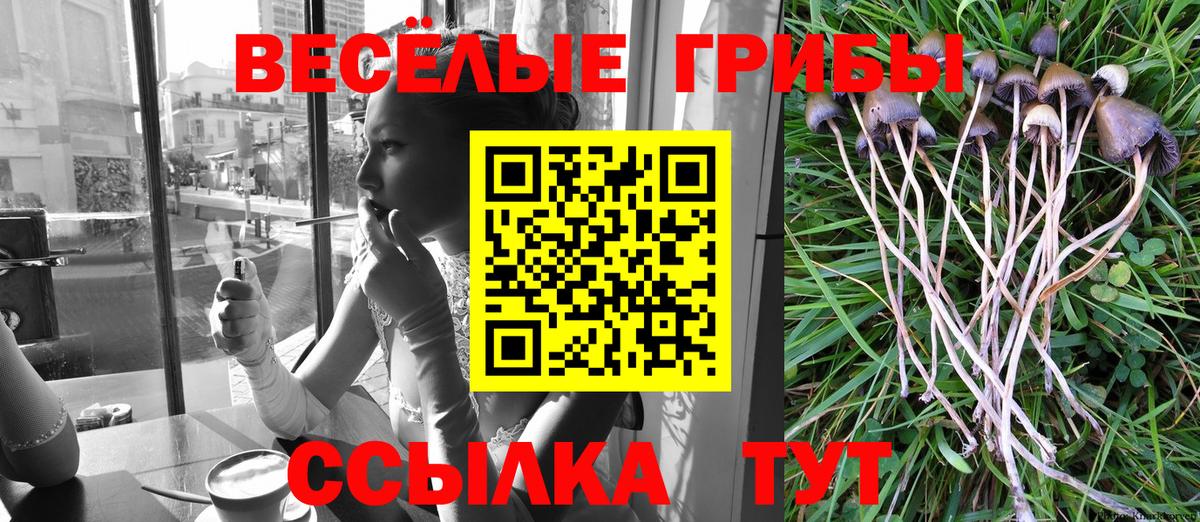 Псилоцибиновые грибы MAGIC MUSHROOMS  Вход с VPN  Ртищево 
